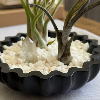 Coastal Scalloped Bowl